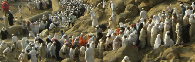 Muslim Ummah on the Day of Arafat