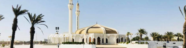 How does Islam suggest To Show Kindness to Non-Muslims
