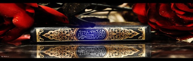Image By Mohammed J