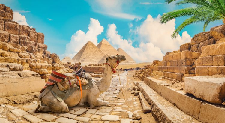 Top Tips for First-Time Travelers in Egypt