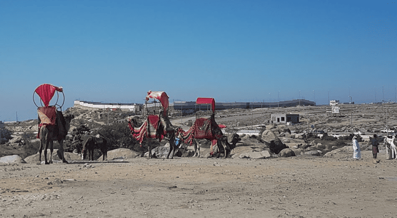 2025 Saudi Travel Guide for Travelers